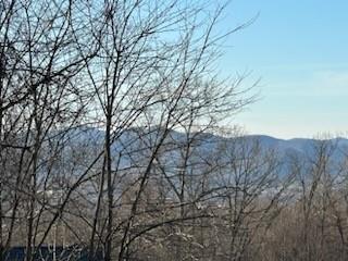 000 Deep Valley Ln, Hendersonville, NC 28791