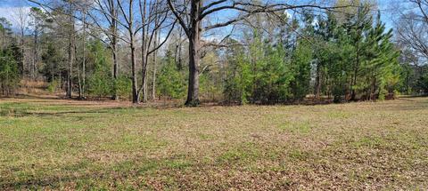 3232 Mt Prospect Rd, Chester, SC 29706