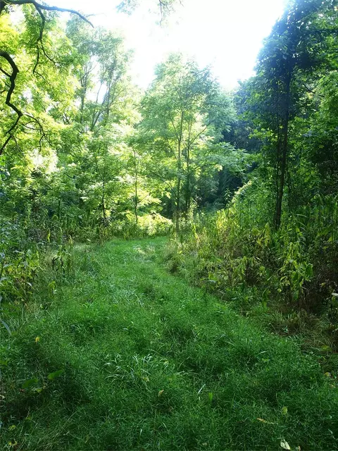 00 Porters Ridge 2 Rd #2, Canton, NC 28716
