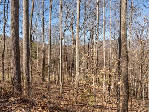 112 S Lindon Cove Rd #34, Candler, NC 28715