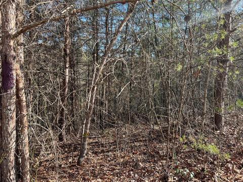 4801 Pea Ridge Rd, Morganton, NC 28655