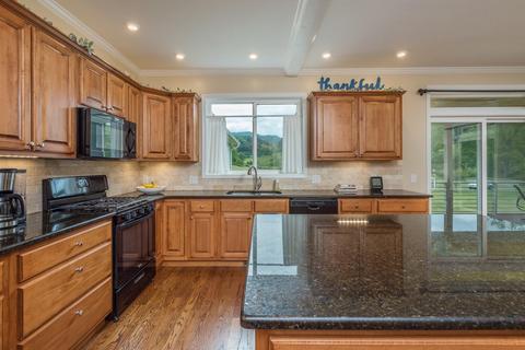 750 Iron Tree Dr, Clyde, NC 28721 photo 30