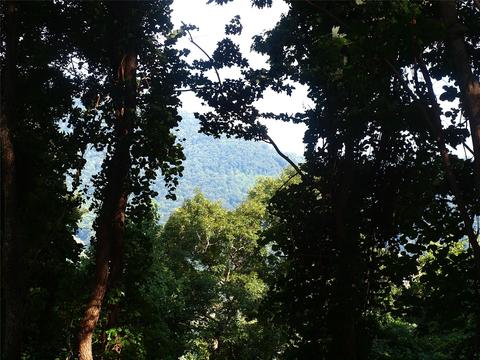 0000 Porters Ridge Rd #4, Canton, NC 28716