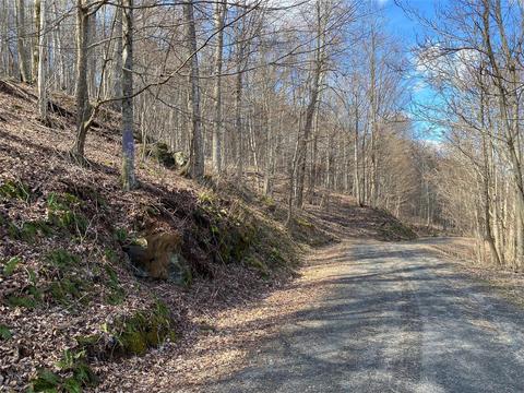 Bear Springs Road, Bakersville, NC 28705