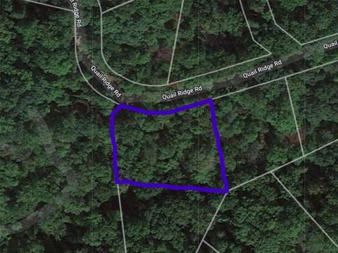 Quail Ridge Road, Lake Lure, NC 28746