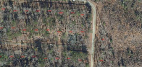 Tbd Hollyberry Way, Troy, NC 27371