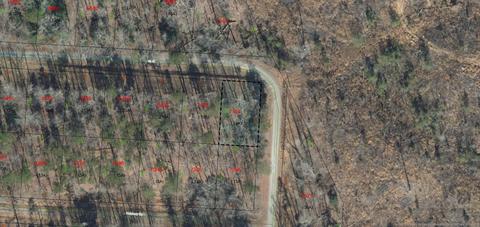 Tbd Iris Court, Troy, NC 27371
