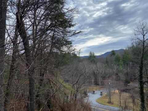 000 Main 1 St #1, Fairview, NC 28730