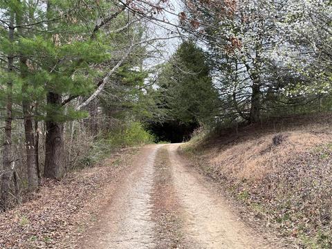 40 Smith Valley Rd, Alexander, NC 28701 photo 42