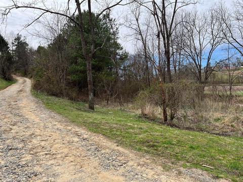 40 Smith Valley Rd, Alexander, NC 28701 photo 16