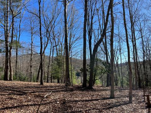 Fox Crest Overlook, Laurel Springs, NC 28644