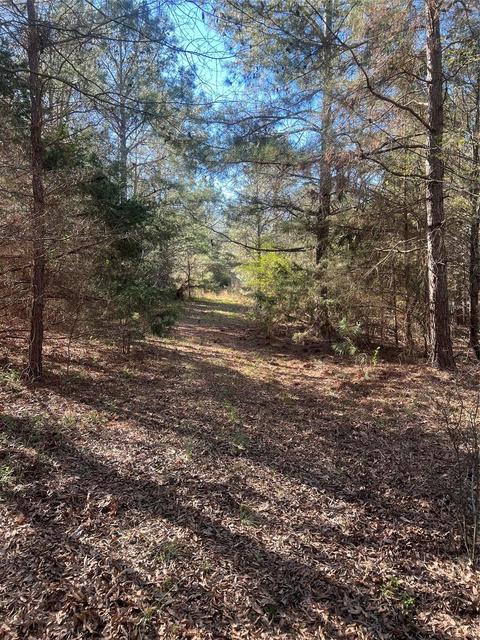 APT 3 Stack Road, Monroe, NC 28112 photo 6