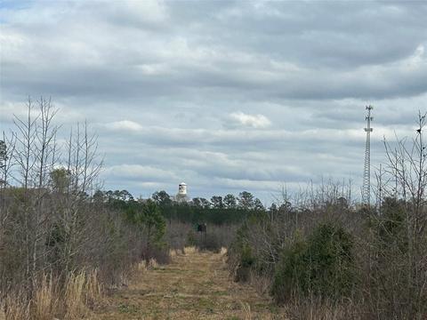 269 Chestnut St, Bethune, SC 29009 photo 5