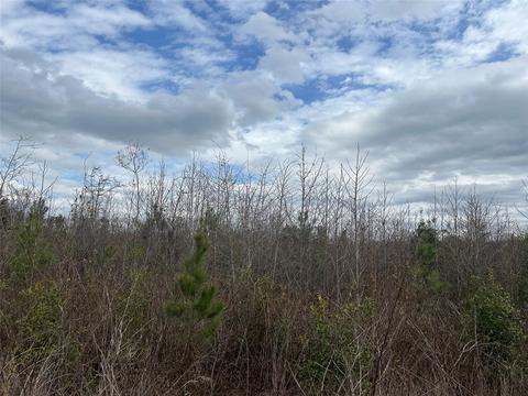 269 Chestnut St, Bethune, SC 29009 photo 3