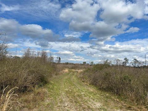269 Chestnut St, Bethune, SC 29009 photo 19