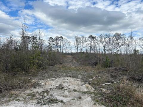 269 Chestnut St, Bethune, SC 29009 photo 13