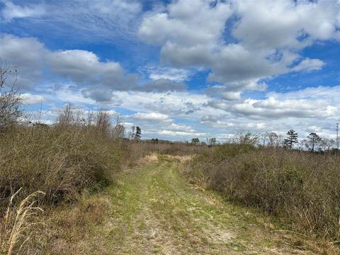 269 Chestnut St, Bethune, SC 29009 photo 18