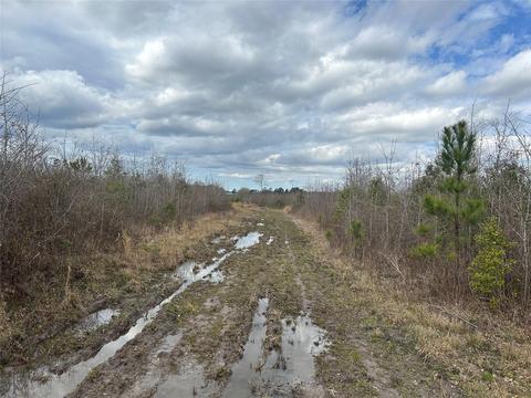 269 Chestnut St, Bethune, SC 29009 photo 8