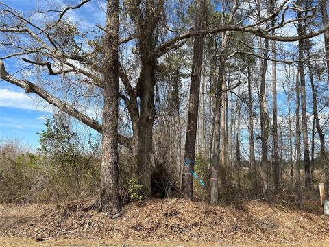 269 Chestnut St, Bethune, SC 29009 photo 29