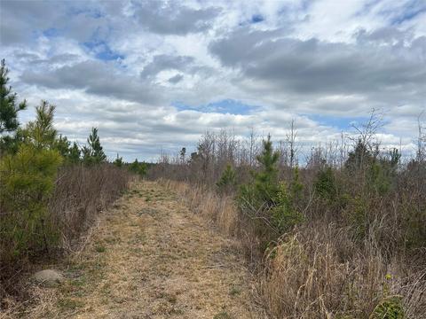 269 Chestnut St, Bethune, SC 29009 photo 2