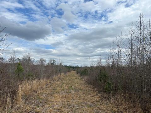 269 Chestnut St, Bethune, SC 29009 photo 4