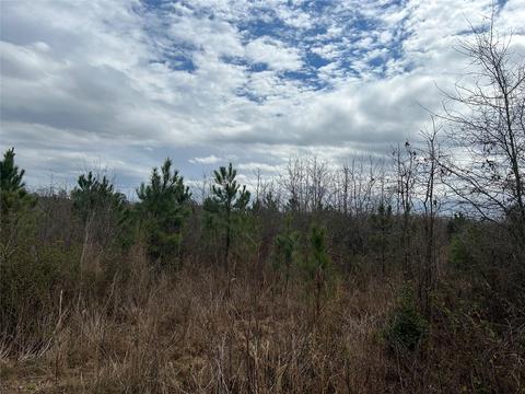 269 Chestnut St, Bethune, SC 29009 photo 6
