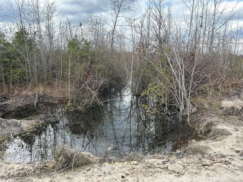 269 Chestnut St, Bethune, SC 29009 photo 12