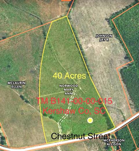 269 Chestnut St, Bethune, SC 29009