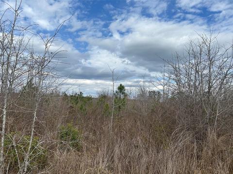 269 Chestnut St, Bethune, SC 29009 photo 7