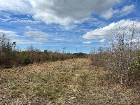 269 Chestnut St, Bethune, SC 29009 photo 14