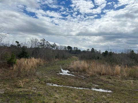 269 Chestnut St, Bethune, SC 29009 photo 10