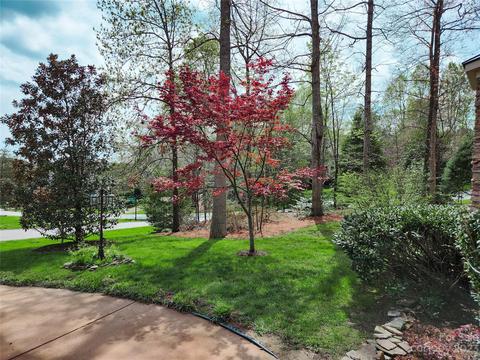 251 Bent Tree Dr, Stanley, NC 28164 photo 43