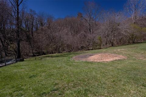 309 River Point Rd, Canton, NC 28716 photo 41