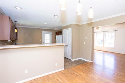 309 River Point Rd, Canton, NC 28716 photo 9