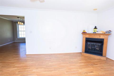 309 River Point Rd, Canton, NC 28716 photo 5