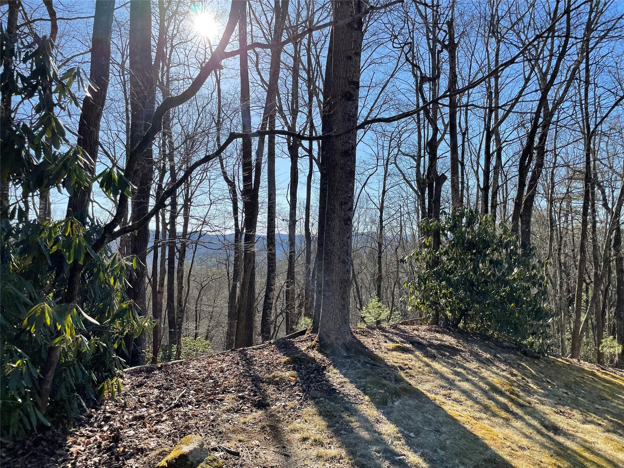 Tsuganawvi L005/u32 Ct Unit L005/U32  