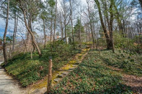 3063 Lynn Rd, Tryon, NC 28782 photo 41