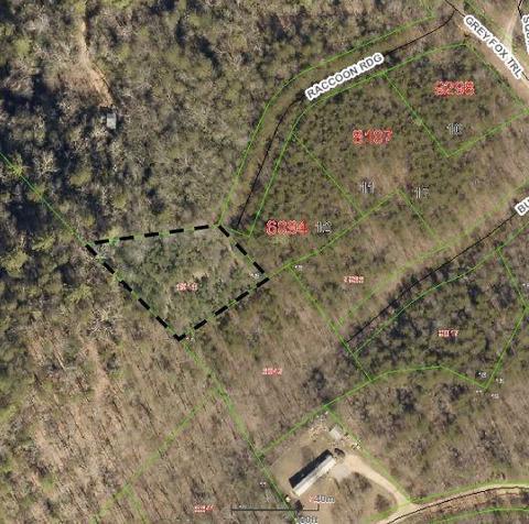 100 Racoon Rdg #13, Marion, NC 28752