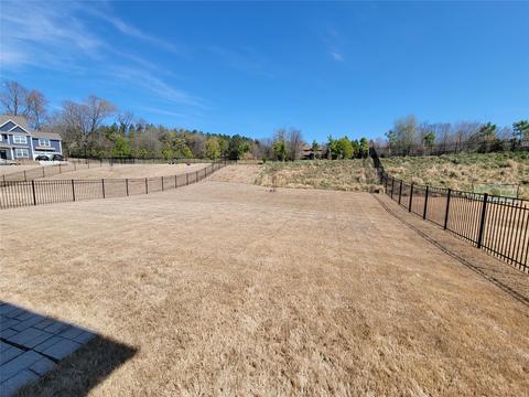 419 Hudson Pl, Davidson, NC 28036 photo 27
