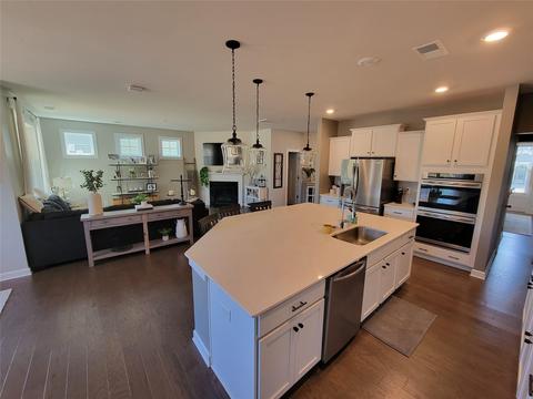 419 Hudson Pl, Davidson, NC 28036 photo 7
