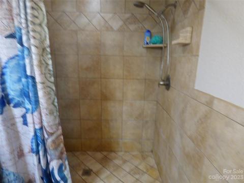8 Allison Cv, Sylva, NC 28779 photo 40