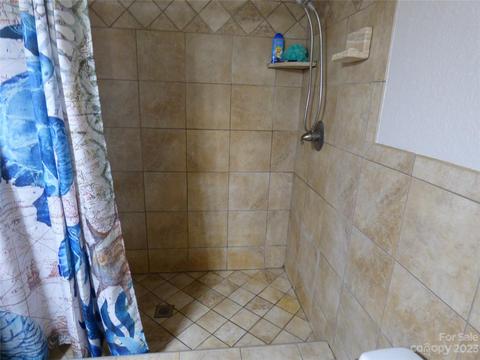 8 Allison Cv, Sylva, NC 28779 photo 39