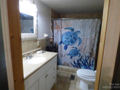 8 Allison Cv, Sylva, NC 28779 photo 37