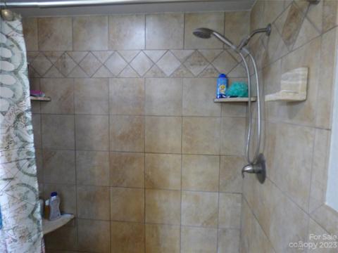 8 Allison Cv, Sylva, NC 28779 photo 41
