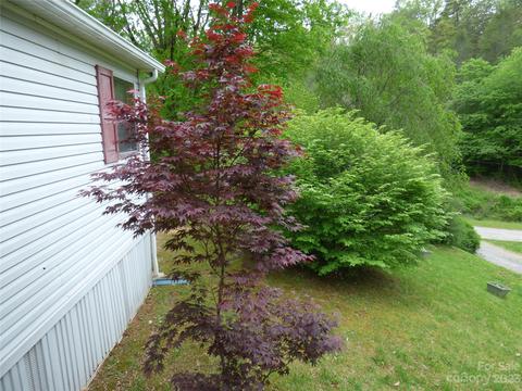 8 Allison Cv, Sylva, NC 28779 photo 19