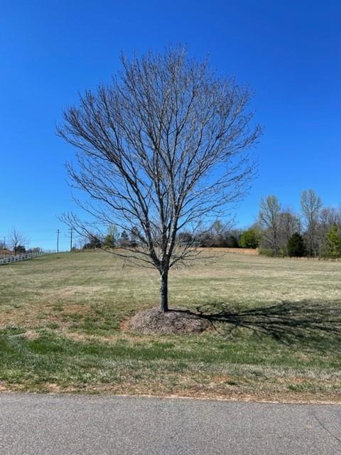 3353 Cayton Dr #2, Maiden, NC 28650