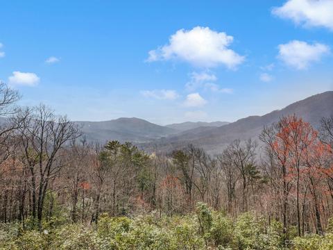 134 N Forest Dr, Marion, NC 28752