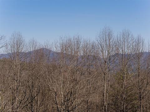 1 Lambeth Walk, Fairview, NC 28730 photo 44