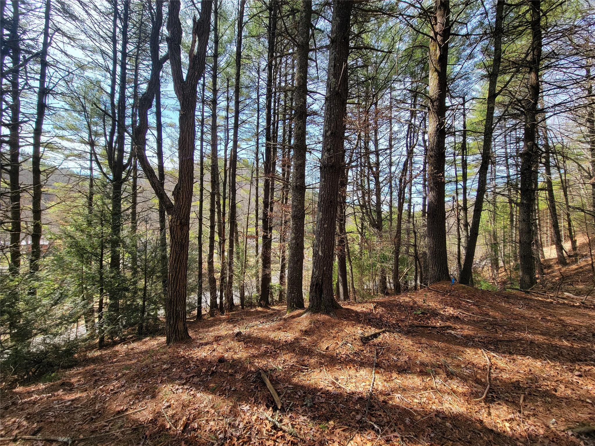 73 Creekside Meadows Dr Unit 73