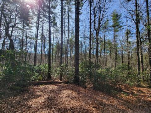 Eagle Drive, Fleetwood, NC 28626